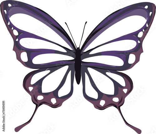 grey scala butterfly purple.eps