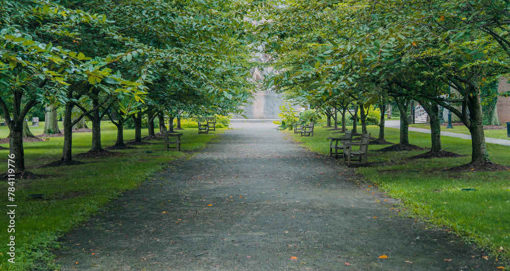 Path leading to the Princeton Battle Monument - a quiet pathway good for sitting alone and thinking. Path leading to the Princeton Battle Monument - a quiet pathway good for sitting alone and thinking.