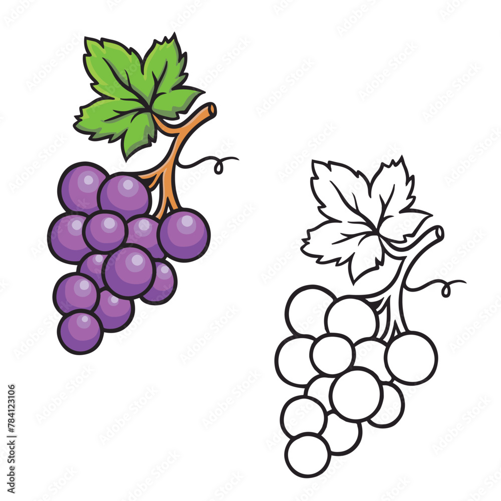 Fototapeta premium grapes drawing with line art style. simple design outline style . vector illustrations.