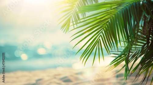Green palm leaf in a tropical beach with a blurry background of sunlight. Great for summer vacation and travel ideas.