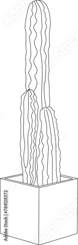Hand drawn cactus plant in a cartoon style in pot. Line art with transparent background