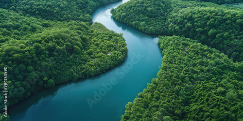 Aerial view of a winding river flowing through a dense green forest surrounded by nature's beauty