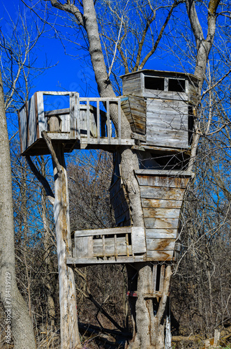 Upward view of an old, empty treehouse in the springtime morning sunlight
