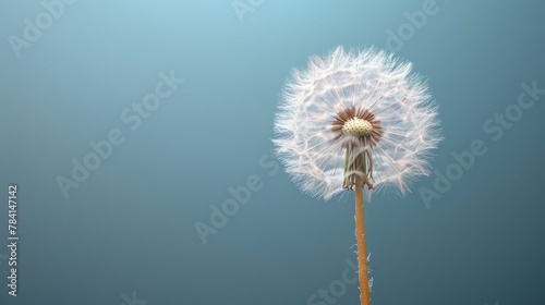 Single Dandelion Seed Caught in Breeze  Capturing Fragility and Complexity.