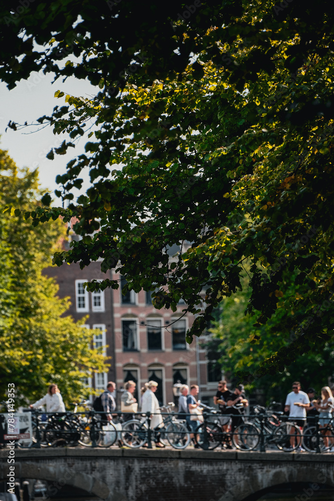 Fototapeta premium city of amsterdam