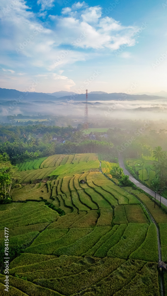 Obraz premium Drone view of rice fields terrace in the morning with fogs and sunlight. vertical orientation for wallpaper or agricultural content. 