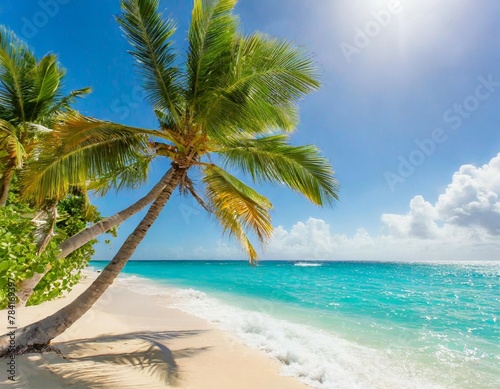 Sunny tropical Caribbean beach with palm trees and turquoise water, caribbean island vacation, hot summer day © Beste stock
