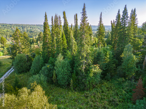 taiga is a mixed forest of coniferous and deciduous trees typical of central Russia, drone view