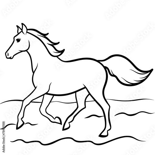 black horse vector illustration