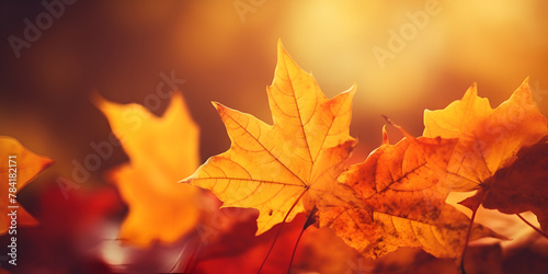   Autumn leaves on a treemaple leaves Colorful yellow Breathtakingly RAW color photo highly detailed and hyper realistic lifelike Generative  AI