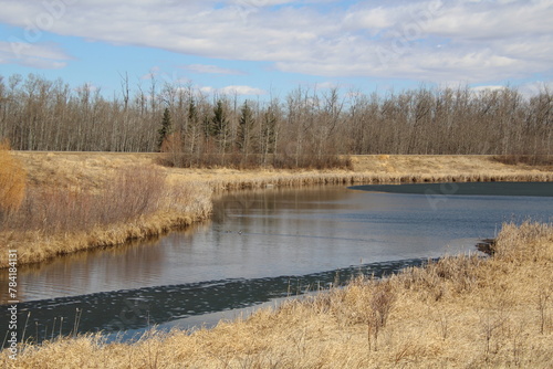 Spring Ice On The Lake, Pylypow Wetlands, Edmonton, Alberta