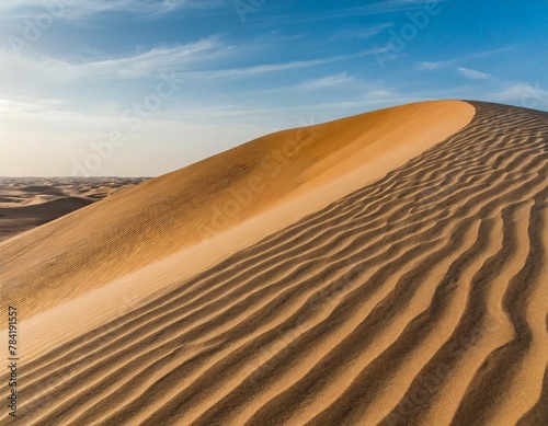 Tall sand dune in the Rub al Khali desert  Abu Dhabi  United Arab Emirates