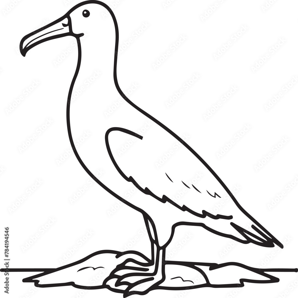 Obraz premium Albatross coloring pages. Albatross outline for coloring book