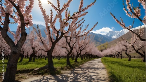 spring in the mountains