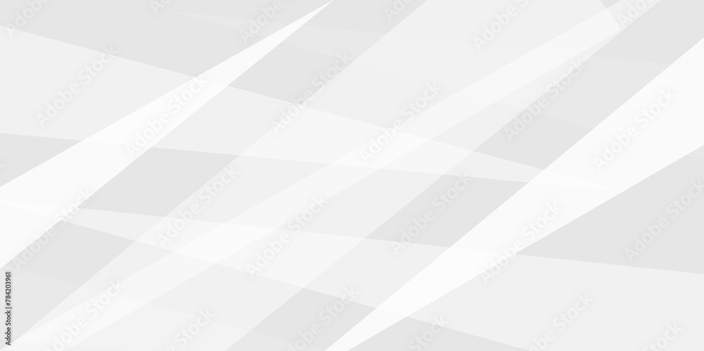 Obraz premium Abstract white and gray color, modern design stripes background with geometric round shape.