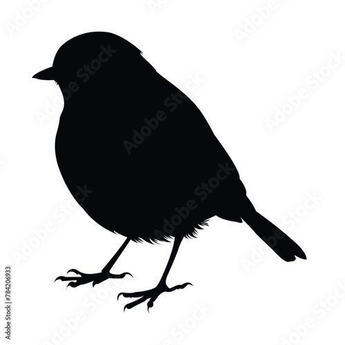 silhouette of a robin bird on white