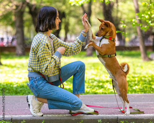 African dog sabbenji high fives the owner on a walk in the park.  photo