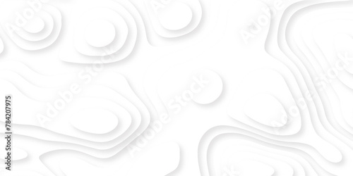 White abstract paper carve template background. White Abstract Modern Wavy, Wave, Liquid, Fluid