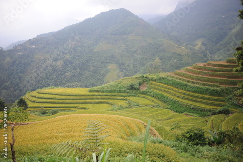 the terraces in the north of Viet Nam, Hoang Su Phi © DUONG