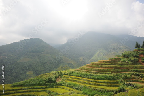 the terraces in the north of Viet Nam  Hoang Su Phi