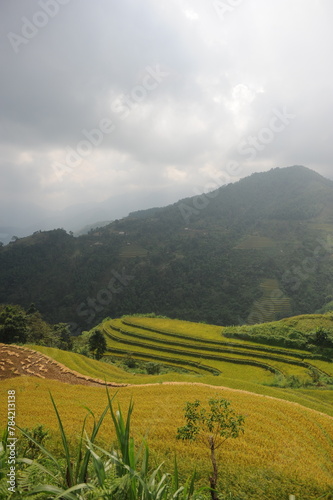 Terrain farm in Hoang Su Phi, the east north of Viet Nam © DUONG