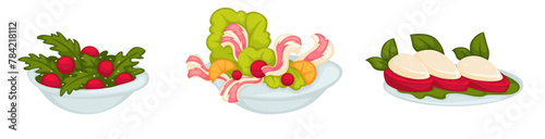 Assorted Fresh Salad Bowls Vector