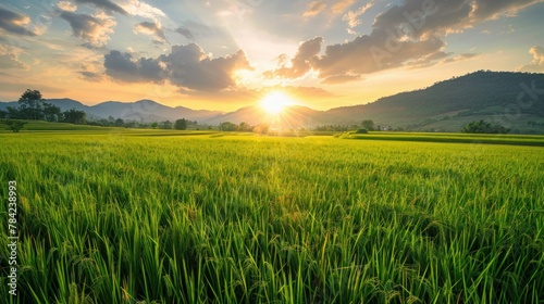 photorealism of Beautiful rice field on sunset scene at north Thailand photo