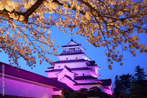鶴ヶ城のライトアップと満開の桜