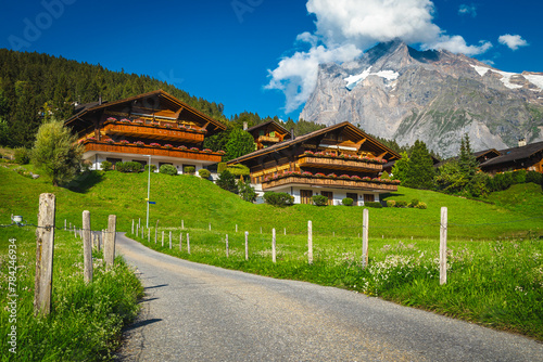 Wooden houses and flowery gardens on the slope, Grindelwald, Switzerland