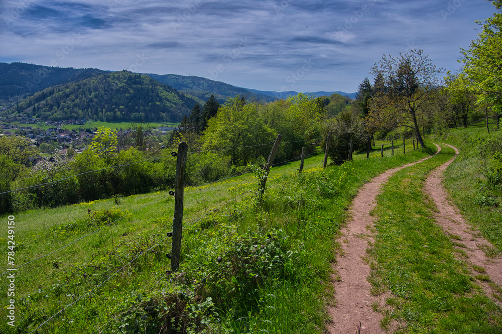 Landschaft bei Gunsbach sur Munster in den Vogesen