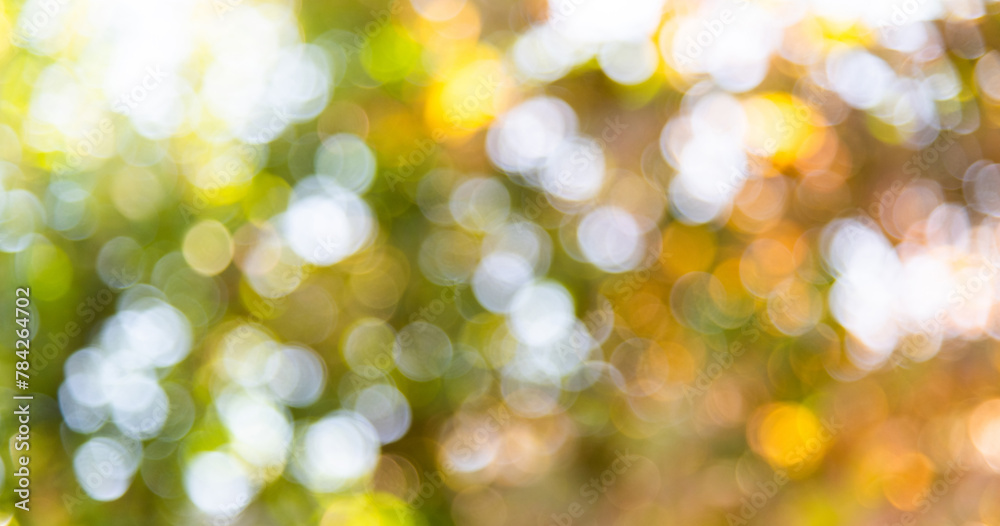Obraz premium Background of blurred green leaves