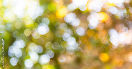 Background of blurred green leaves