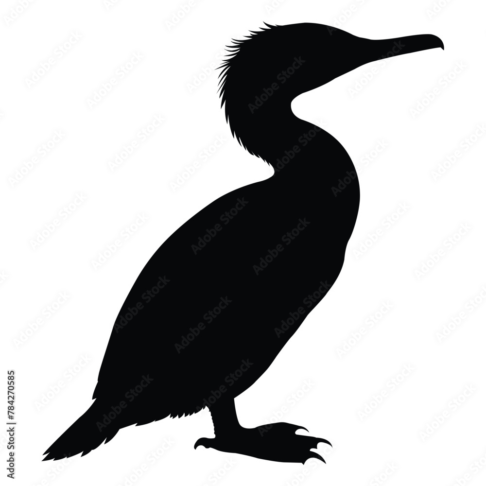 Fototapeta premium silhouette of a cormorant bird on white