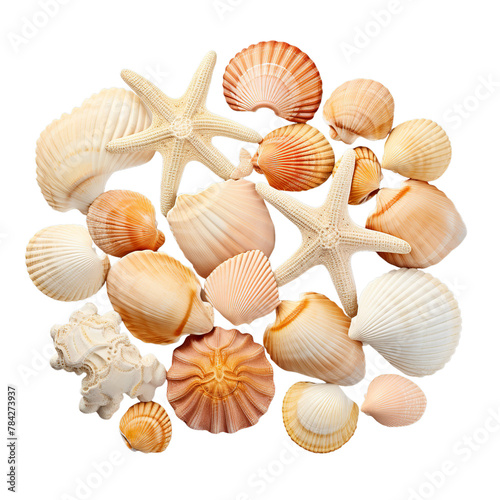 illustration of scallops beach object 3D , Isolated on transparent PNG background, Generative ai