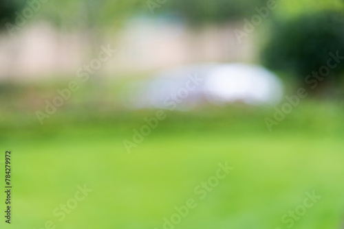 Background of blurred green lawn