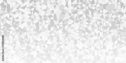 Fototapeta Naklejka Na Ścianę i Meble -  Vector geometric seamless technology gray and white triangle background. Abstract digital grid light pattern white Polygon Mosaic triangle Background, business and corporate background.