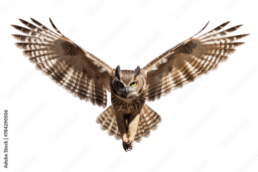 Fototapeta premium Owl flying, isolated on transparent background.