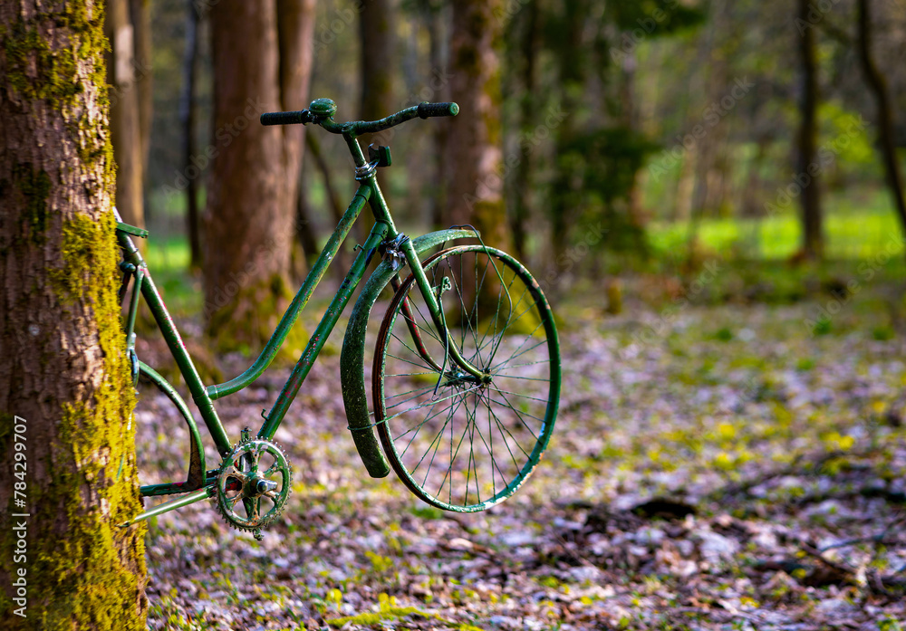 an old bicycle on a tree trunk in the forest