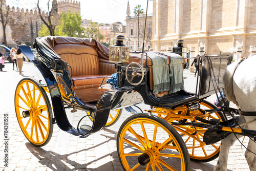 Horse-drawn carriage at the Giralda Cathedral, Seville, Andalusia, Spain