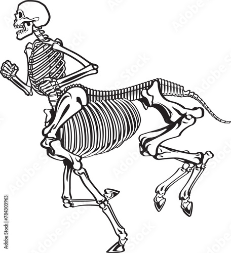 Greek mythology centaur skeleton