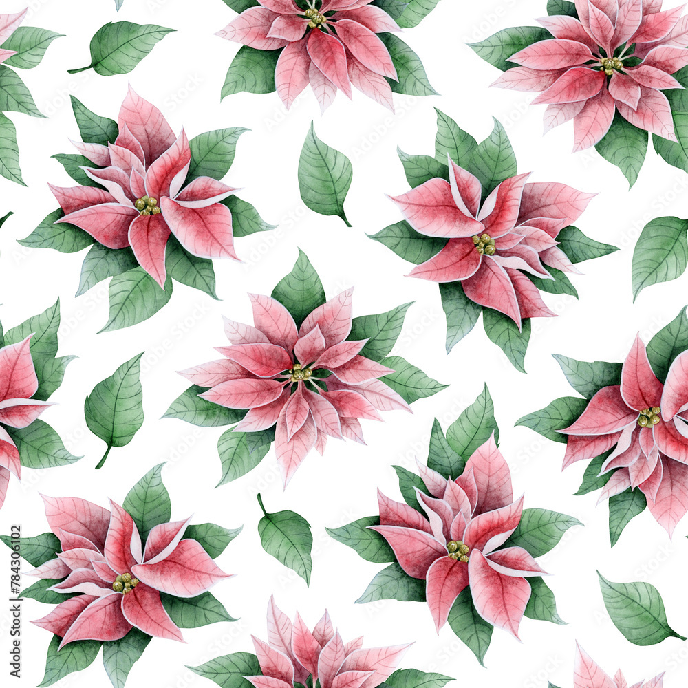 Elegant pink poinsettia Christmas flowers and leaves in traditional colors watercolor floral seamless pattern on white background for winter holidays greeting cards and festive banners