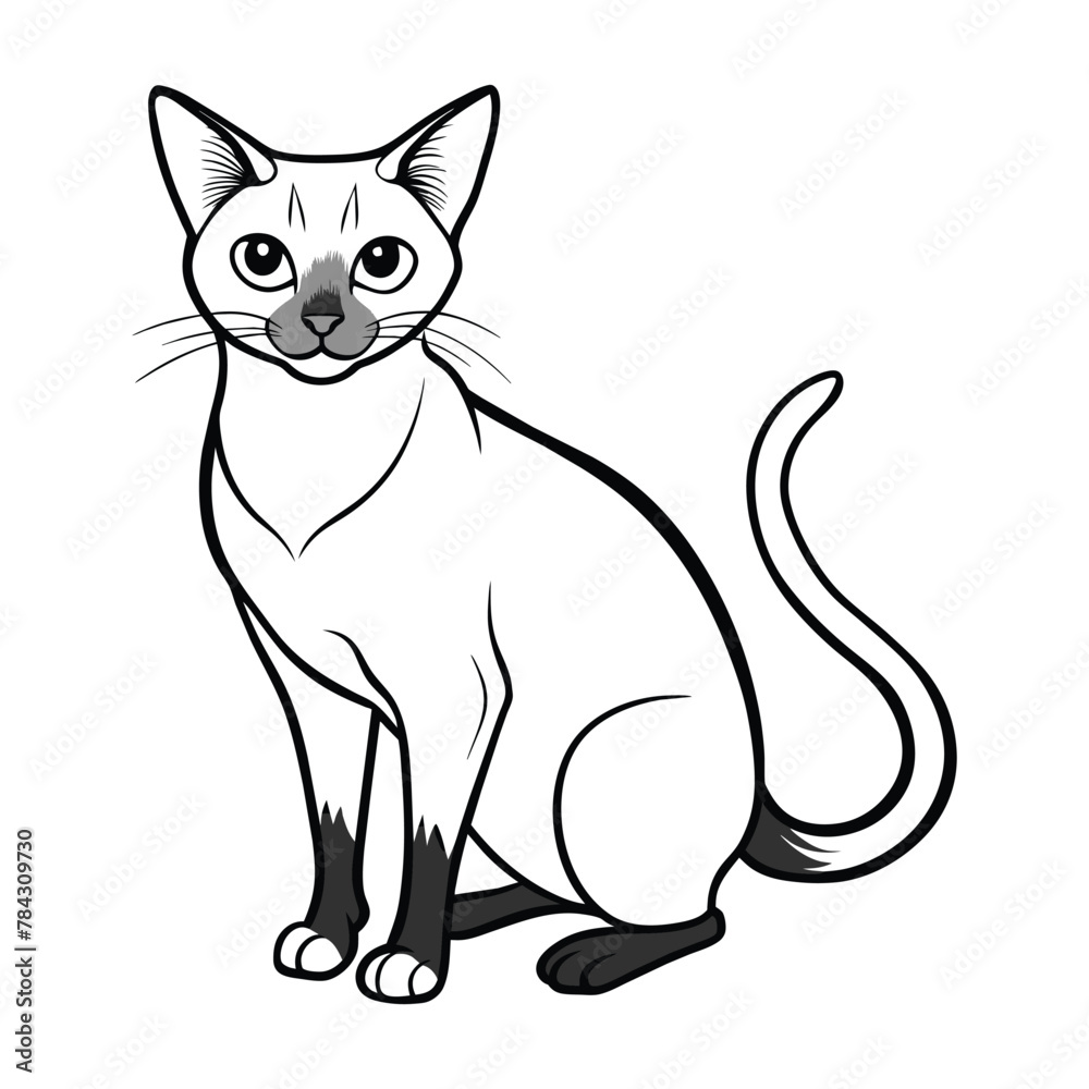 Fototapeta premium Cat vector illustration black and white cat outline