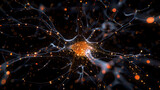 The Computational Anatomy of a Single Neuron in a Neural Network Model