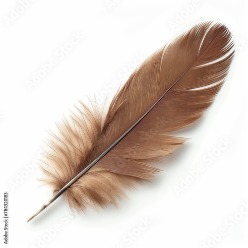 A detailed close-up of a solitary brown bird feather isolated on a white background, symbolizing lightness and nature.