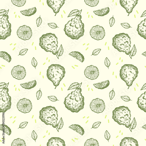 Bergamot seamless pattern. Repeating background with engraved citrus fruit plant for textile, wrapping, card, label, template, print, paper. Aromatherapy, flavouring tea, bergamot oil, cosmetics