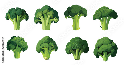 broccoli colloection veator isolated on white background.
