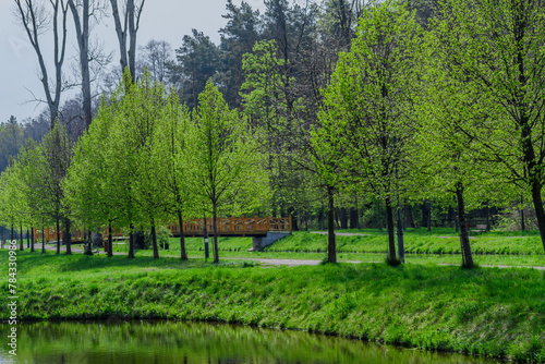   ywo zielony park Zwierzy  czyk wczesn   wiosn    p  yn  ca woda   ziele    alejki i pomosty