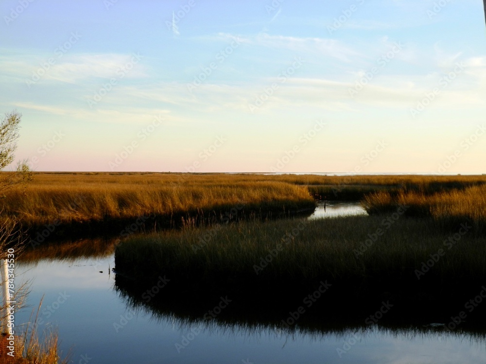 Obraz premium Small tranquil river flowing through the fields
