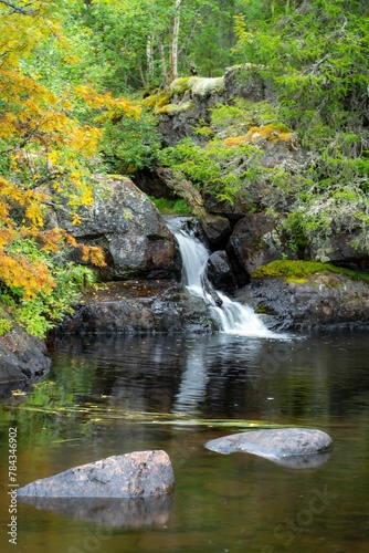 Vertical shot of a cascade of water at river in a forest