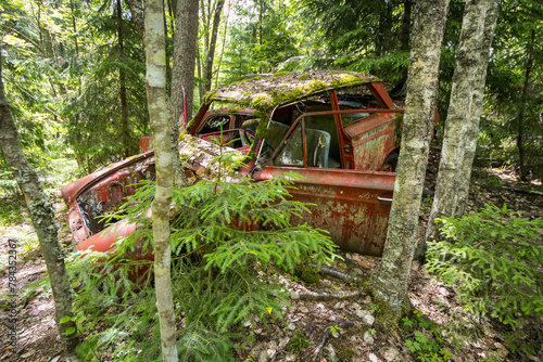 Abandoned car wreckage between trees in a swedish forest photo